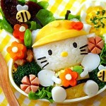 Peluang bisnis nasi bento-pengusahasukses