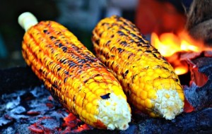 jagung bakar pengusahasukses