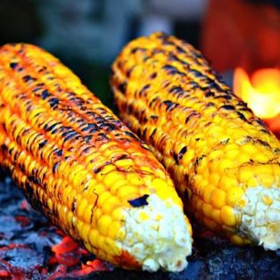 Peluang Bisnis Jagung Bakar Dan Analisa Usahanya