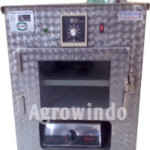 Peluang Bisnis Sale Pisang dan Analisa Usahanya