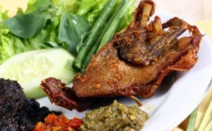 Peluang Bisnis Bebek Kaleyo dan Analisa Usahanya