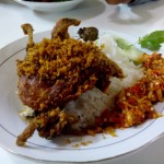 Peluang Bisnis Bebek Sinjay dan Analisa Usahanya
