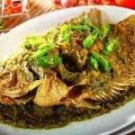 Peluang Bisnis Ikan Gurami Cabe Hijau dan Analisa Usahanya pengusaha sukses