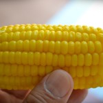 Peluang Bisnis Jagung Rebus dan Analisa Usahanya