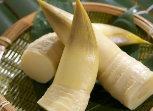Peluang Bisnis Keripik Rebung dan Analisa Usahanya