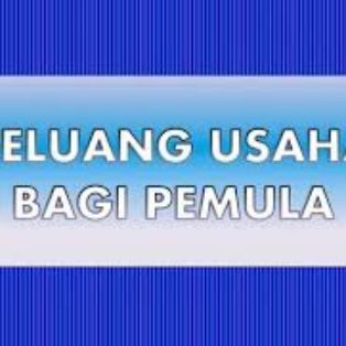 Peluang Usaha Bagi Pemula Dengan Modal Kecil