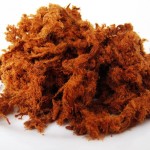 Peluang Bisnis Abon Daging Sapi dan Analisa Usahanya