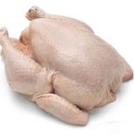 Peluang Bisnis Ayam Potong dan Analisa Usahanya